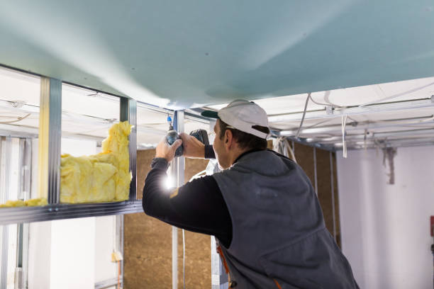 Best Insulation Contractor Near Me  in Biltmore Forest, NC
