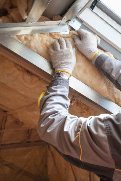Best Local Insulation Services  in Biltmore Forest, NC