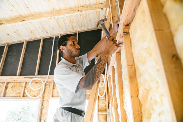 Best Affordable Insulation Services  in Biltmore Forest, NC