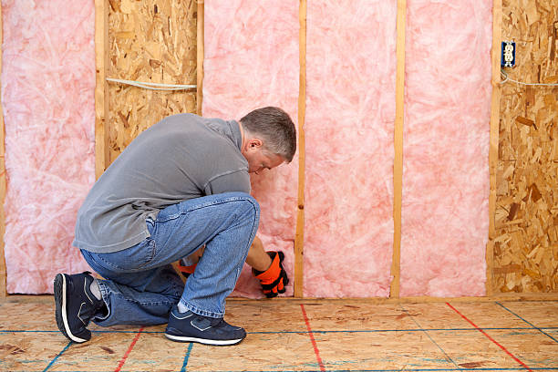 Best Wall Insulation Contractor  in Biltmore Forest, NC