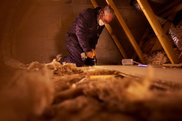 Best Best Insulation Companies  in Biltmore Forest, NC
