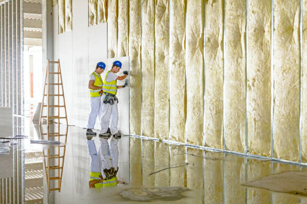 Best Insulation for New Construction  in Biltmore Forest, NC